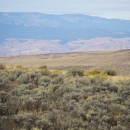 Sagebrush covered hills and distant mountains
