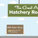 A graphic of a light blue sky with puffy clouds. A green highway sign hangs from the top and reads "The Great American Hatchery Road Trip." At the bottom, a fish drives a blue car along a road toward a brown sign with the USFWS logo and text that reads "White Sulphur Springs National Fish Hatchery."