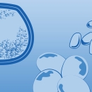 Illustration depicting the family archaea