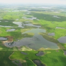 An aerial view of water-filled glacial depressions called Prairie Potholes
