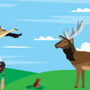 A drawn summer scene of a sandhill crane and butterfly flying over an elk, bird, and ground squirrel.