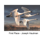 Top three pieces of Artwork for 2022 Federal Duck Stamp Contest
