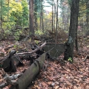 Large pieces of rusty metal in a wooded area