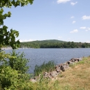 On the grassy edge of the water, look across a lake to a forested hilltop under the open sky on a summer day.