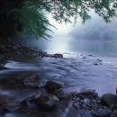 A rocky shoreline of a river. The water is calm. Mist and green branches line the river.