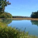 Little River at Rachel Carson National Wildlife Refuge