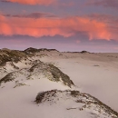 Apanorama of pink clounds in a purple sky over a bright lit series of windblown sand dunes with some low vegetation about