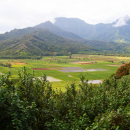 A view of the Hanalei River Valley