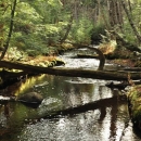 Maine stream