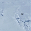 viewed from an airplane, a family of 3 polar bears walk across a snowy landscape.