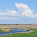 Wetland on Hurons WMD