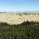 expanse of sand dunes with spruce trees in the foreground