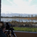 A woman aims her camera at birds through a photography blind at Ankeny National Wildlife Refuge in Oregon.