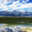 Wet meadow with mountain range in background