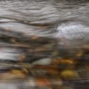 Clear river water flows over a rock-covered stream bottom