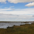 View of Hesby pond at Hamden Slough National Wildlife Refuge.