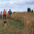 Two men and child hunting pheasant with