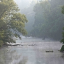 River channel spanned by trees on misty morning