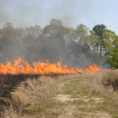 Prescribed burning on Partners for Fish & Wildlife site