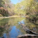 A shallow creek lined with trees on both sides
