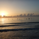 Sunrise over the ocean with birds on the horizon at NPR Hobe Sound NWR.