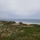 Sand dunes overlooking a sandy beach and ocean with grey skies.