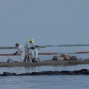 White-suited people collect samples on an oil-tarred beach in Louisiana.