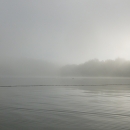 A gill net set out on the river on a foggy morning