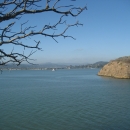 Tree branches in the foreground overlooking open water with a small island and mountains in the background. 