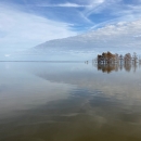 A calm lake surface reflects a band of clouds and a line of cypress trees in the water