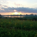 sun rises over water and prairie plants on a marsh