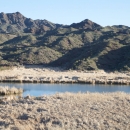 The Bill Williams River is shown in front of a background of mountains and a blue sky.
