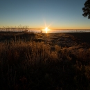 sunset landscape with brown tall grasses