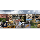 A collage of twenty-six photos of animals, staff doing field work, and landscapes of the area of responsibility of the Austin ecological services field office