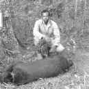 A black and white portrait of a black man -- A Fish and Wildlife Service employee, squatting behind a sedated, trapped bear