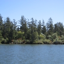 Water of the Columbia River in the foreground with a view of a forested island.