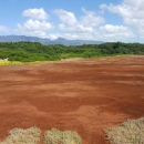 Overview photo of a bare dirt area which is the future site of the waterbird restoration pond at Pouhala Marsh, where an eight acre pond will be excavated as part of the future wetland enhancement and restoration at the Hawaii State Wildlife Refuge.
