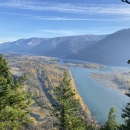 Elevated view of Columbia Gorge, with the river and mountains in the distance, seen between foreground evergreens.