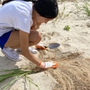 young person wearing gloves holds trowel and plants in sand