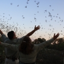 A crowd of people with their arms open stand in front of a flock of bats at dusk 
