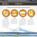 Graphic depicting threats to emperor geese during their life cycle.