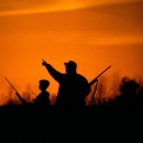Two hunts standing in the high grass during a reddish orange sunset, and pointing toward the sky. 