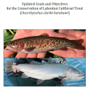 Two close up images of people holding fish below the text: Updated Goals and Objectives for the Conservation of Lahontan Cutthroat Trout.