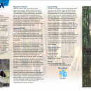 Preview image of the brochure. There are three columns of text, a tiny picture of a duck on the bottom left, and a picture of baldcypress on the right.