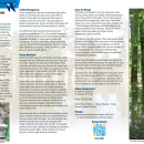 Thumbnail of the general brochure. There are three columns of text, an image of a black bear in the bottom left corner, and an image of bottomland hardwoods on the right.