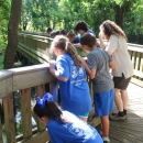 Photograph of Jr Ranger Camp Students looking over the boardwalk at Cypress Trail