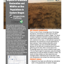 first page of handout