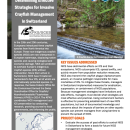 first page of handout