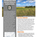 first page of handout