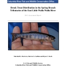 Brook Trout Distribution in the Spring Branch Tributaries of the East Little Walla Walla River 2011 Assessment Report